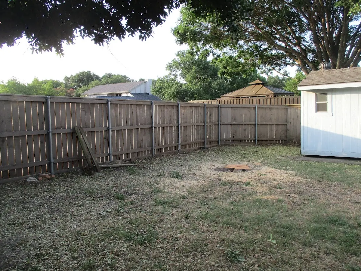 Cleared yard after professional tree removal in Saint Helena